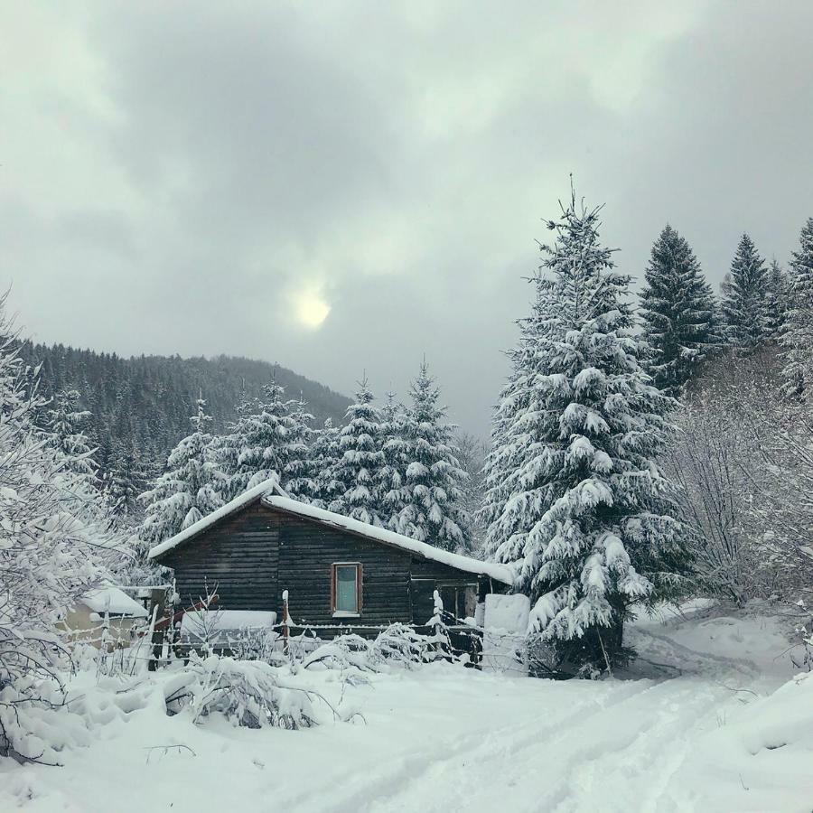Cabana Sapte Breaza  Buitenkant foto