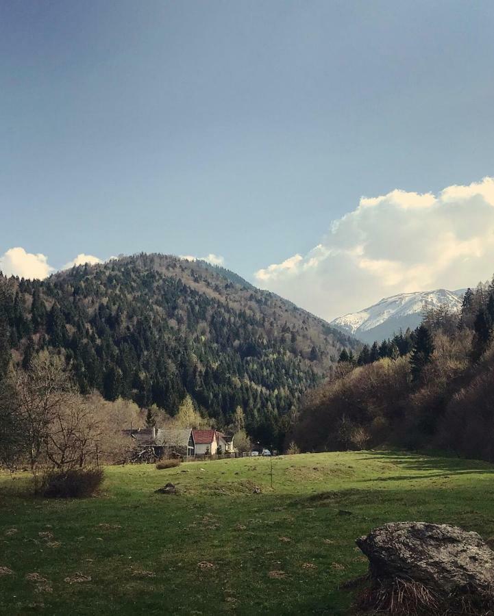 Cabana Sapte Breaza  Buitenkant foto